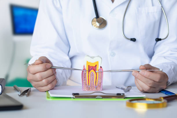Best Emergency Dental Care for Broken or Chipped Teeth in North Caldwell, NJ
